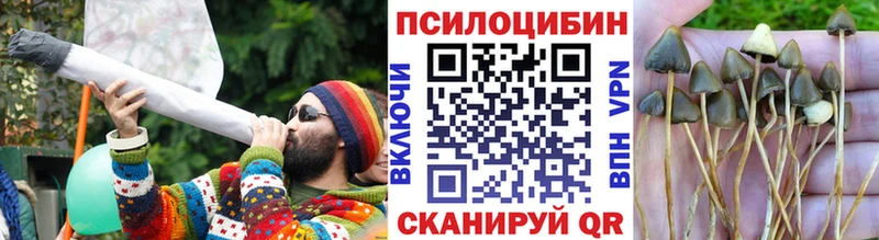 Галлюциногенные грибы MAGIC MUSHROOMS Кириши